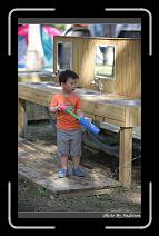 IMG_2145 * 566 x 910 * (239KB)