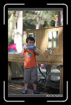 IMG_2151 * 566 x 910 * (243KB)
