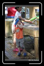 IMG_2154 * 566 x 910 * (238KB)