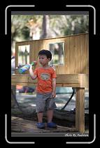 IMG_2155 * 566 x 910 * (222KB)