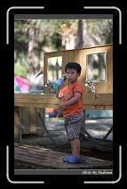 IMG_2157 * 566 x 910 * (243KB)