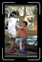 IMG_2158 * 566 x 910 * (225KB)