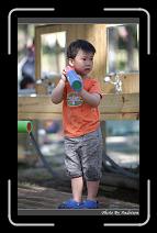 IMG_2159 * 566 x 910 * (239KB)