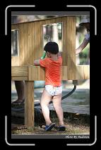 IMG_2164 * 566 x 910 * (237KB)