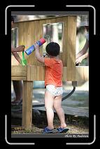 IMG_2166 * 566 x 910 * (232KB)