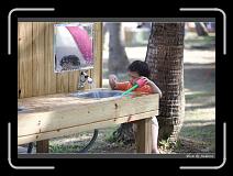 IMG_2179 * 850 x 608 * (234KB)