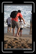 IMG_2302 * 566 x 910 * (224KB)