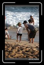IMG_2330 * 566 x 910 * (240KB)