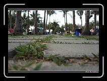 DSC00652 * 850 x 607 * (243KB)