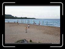 DSC00670 * 850 x 607 * (249KB)
