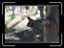 DSC00703 * 850 x 607 * (229KB)