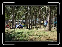 DSC00708 * 850 x 607 * (246KB)