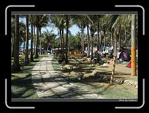 DSC00712 * 850 x 607 * (246KB)
