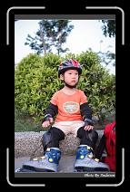 IMG_2514 * 566 x 910 * (242KB)
