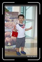 IMG_2568 * 566 x 910 * (245KB)