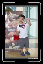 IMG_2571 * 566 x 910 * (220KB)