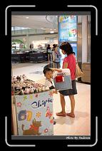IMG_2580 * 566 x 910 * (234KB)