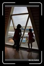 IMG_2616 * 566 x 910 * (229KB)