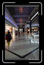 IMG_2619 * 566 x 910 * (232KB)