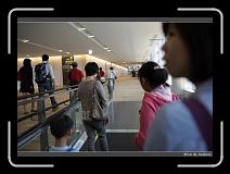 IMG_2645 * 850 x 608 * (223KB)