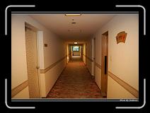 IMG_2740 * 850 x 608 * (233KB)