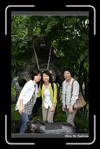 IMG_2818 * 566 x 910 * (248KB)
