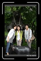 IMG_2819 * 566 x 910 * (239KB)