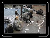 IMG_2823 * 850 x 608 * (249KB)