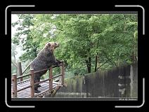 IMG_2825 * 850 x 608 * (246KB)
