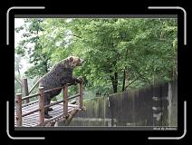 IMG_2827 * 850 x 608 * (244KB)