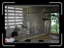 IMG_2830 * 850 x 608 * (246KB)