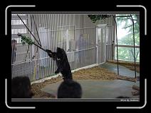 IMG_2832 * 850 x 608 * (247KB)