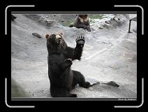 IMG_2836 * 850 x 608 * (242KB)