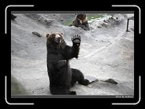 IMG_2837 * 850 x 608 * (245KB)