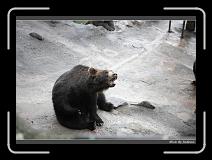 IMG_2838 * 850 x 608 * (250KB)