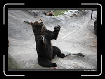 IMG_2840 * 850 x 608 * (215KB)