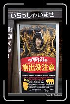 IMG_2855 * 566 x 910 * (245KB)
