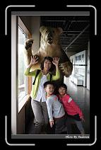IMG_2868 * 566 x 910 * (223KB)
