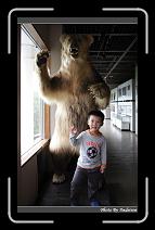 IMG_2875 * 566 x 910 * (243KB)