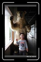 IMG_2879 * 566 x 910 * (228KB)