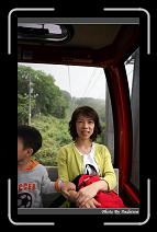 IMG_2909 * 566 x 910 * (243KB)