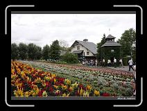 IMG_3002 * 850 x 608 * (243KB)