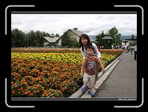 IMG_3007 * 850 x 608 * (244KB)