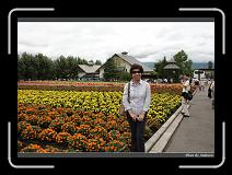 IMG_3009 * 850 x 608 * (242KB)