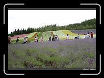 IMG_3022 * 850 x 608 * (249KB)