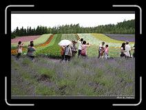 IMG_3024 * 850 x 608 * (239KB)