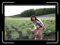 IMG_3025 * 850 x 608 * (244KB)