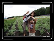 IMG_3029 * 850 x 608 * (247KB)