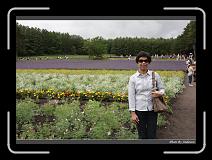 IMG_3036 * 850 x 608 * (246KB)