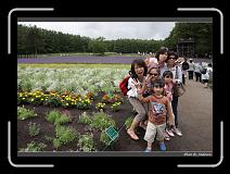 IMG_3045 * 850 x 608 * (244KB)